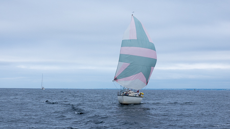 P8140144