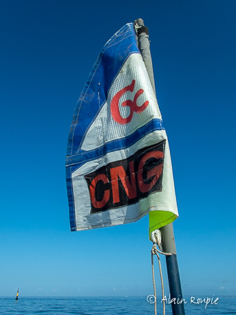 TG202652
