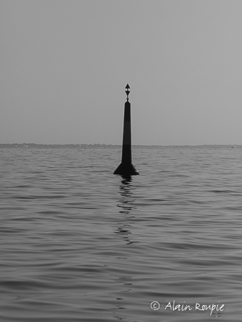 XT203370