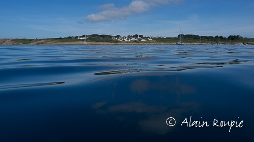 15 juillet 2017