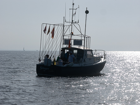 29 juin 2019