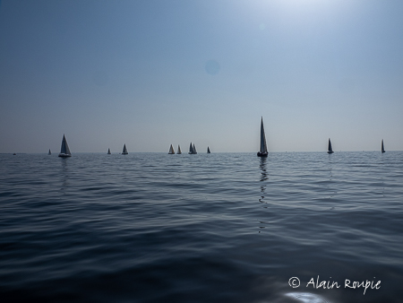 29 juin 2019